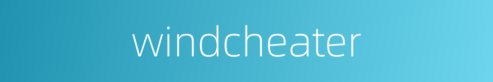 windcheater的同义词