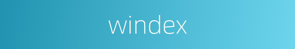 windex的同义词