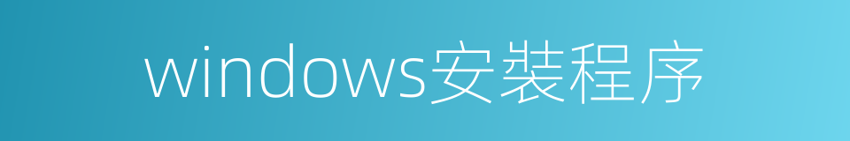 windows安裝程序的同義詞