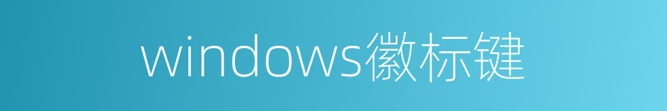 windows徽标键的同义词