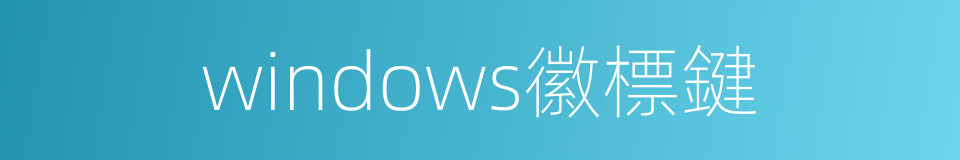 windows徽標鍵的同義詞