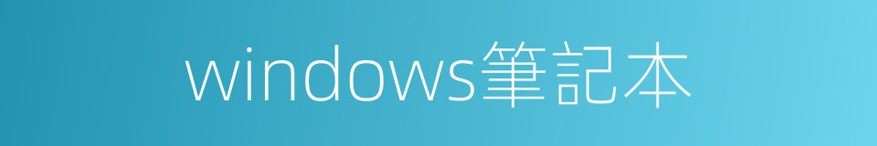 windows筆記本的同義詞