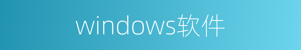 windows软件的同义词