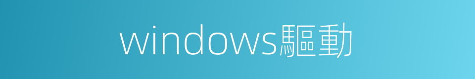 windows驅動的同義詞