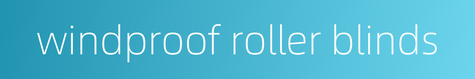 windproof roller blinds的同义词