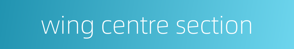 wing centre section的同义词