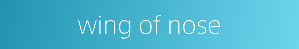 wing of nose的同义词