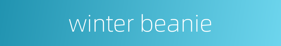 winter beanie的同义词