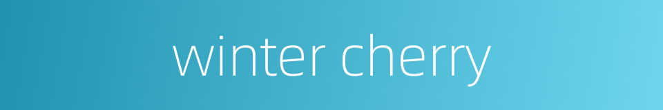 winter cherry的同义词