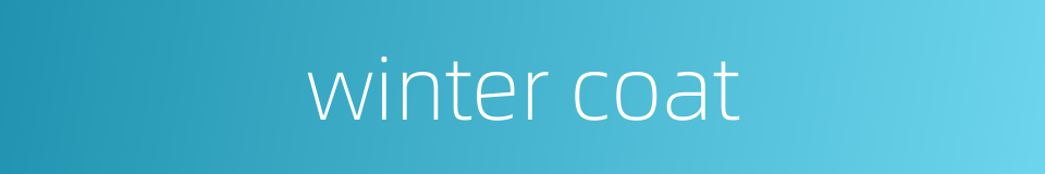 winter coat的同义词