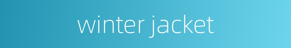 winter jacket的同义词