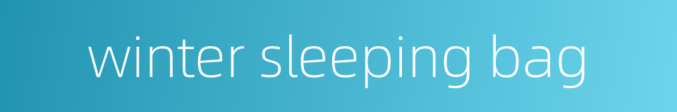 winter sleeping bag的同义词