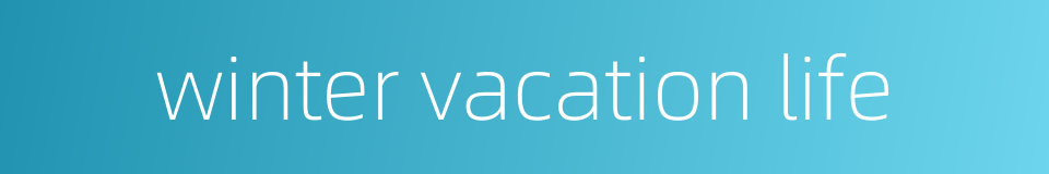 winter vacation life的同义词