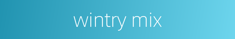 wintry mix的同义词