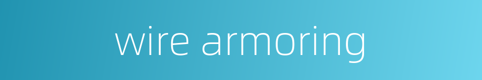 wire armoring的同义词