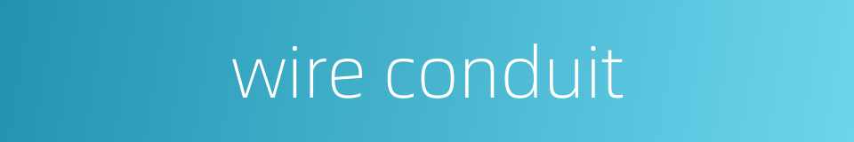 wire conduit的同义词