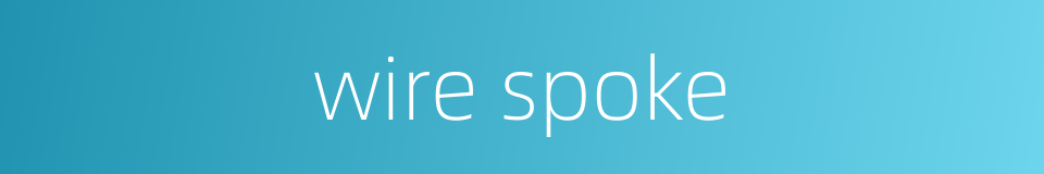 wire spoke的同义词