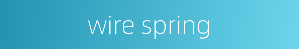 wire spring的同义词