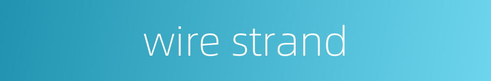 wire strand的同义词