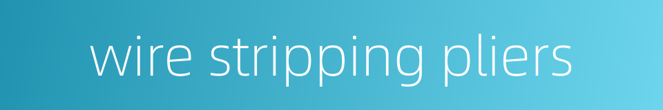 wire stripping pliers的同义词