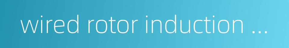 wired rotor induction motor的同义词