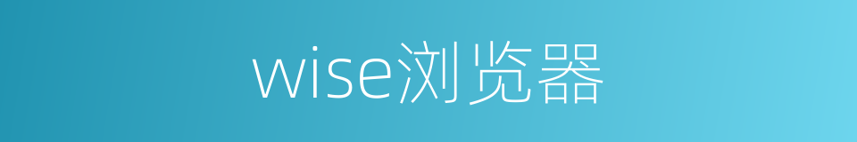 wise浏览器的同义词