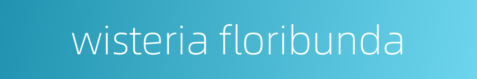 wisteria floribunda的同义词