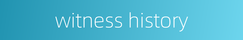 witness history的同义词