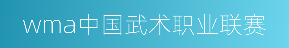 wma中国武术职业联赛的同义词