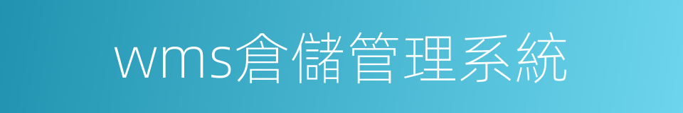 wms倉儲管理系統的同義詞