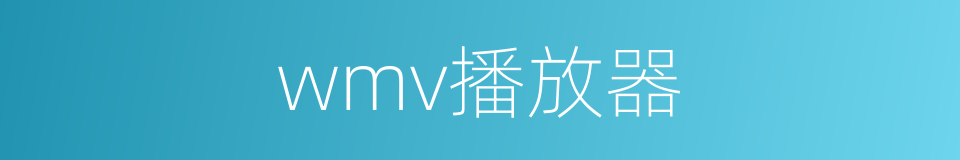 wmv播放器的同义词