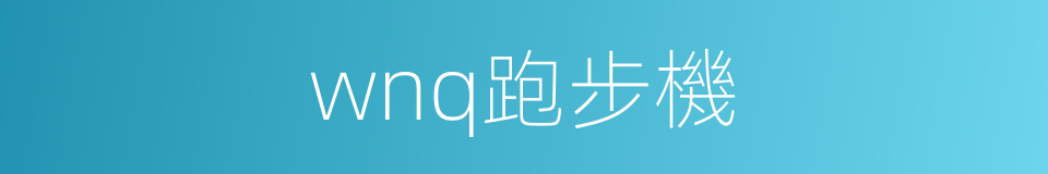 wnq跑步機的同義詞