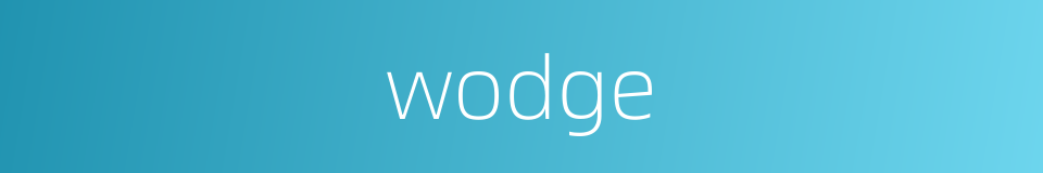 wodge的同义词