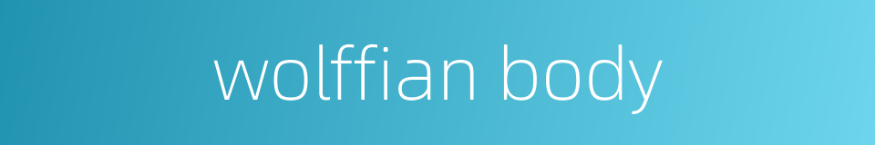 wolffian body的同义词