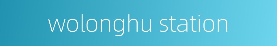 wolonghu station的同义词