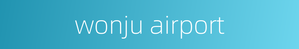 wonju airport的同义词