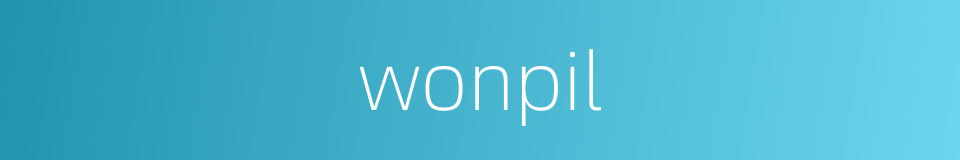 wonpil的同义词