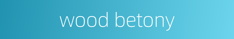 wood betony的同义词