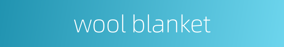 wool blanket的同义词