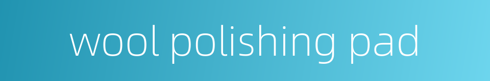 wool polishing pad的同义词