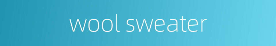 wool sweater的同义词