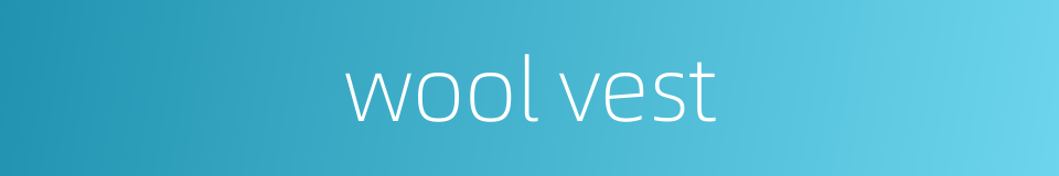 wool vest的同义词