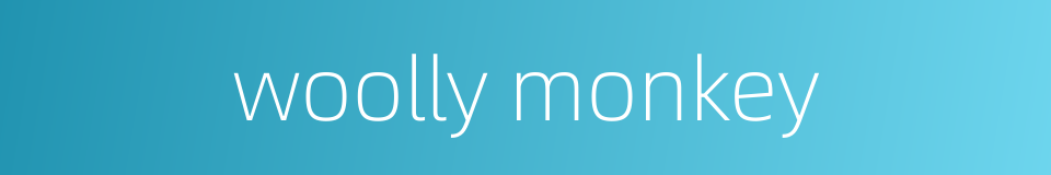 woolly monkey的同义词