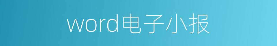 word电子小报的同义词