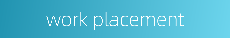 work placement的同义词