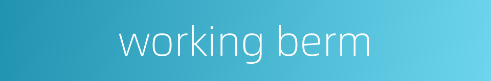working berm的同义词