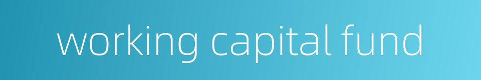 working capital fund的同义词