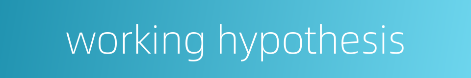 working hypothesis的同义词