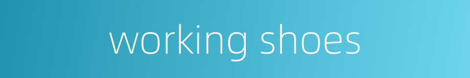 working shoes的同义词