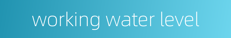 working water level的同义词